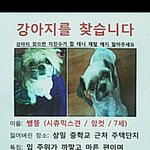 ★부천상동 <b>쌩뚱</b>이를 찾습니다..★