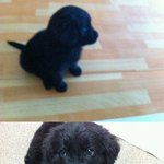 우리집 곰탱이 랜드 *.*