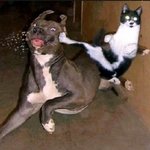 연애하고싶으thㅔ요? [애인만들기<b>tip</b>]