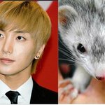 ★★★슈주 <b>이특</b> 오리 아니라 족제비야★★★