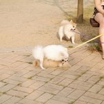 @ 세종<b>대왕</b>의 한글사랑 12탄!!!