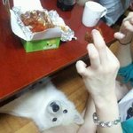 ❀❀❀제발 <b>실수</b>해라❀❀❀
