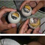 30-(혐)필리핀 <b>정력</b>에좋은 최고의 음식