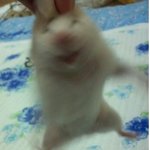 아싸 오늘도 지옥으로 향해 가볼까