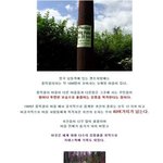 48-한 마을 <b>전체</b>가 흉가가 되어버린 마을