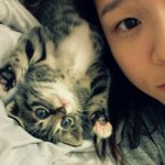 우리집 고양이 ♥<b>쏘</b>이유♥~~~~