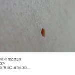 복점 빠져본 <b>사람</b> !!<b>손</b>!!!