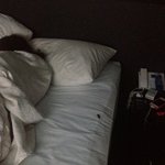 <b>역삼동</b> a모텔 바퀴벌래 사건