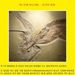 60-고대 물고기와 익룡의 <b>악연</b>