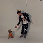 베네통 유기견 캠페인에 참여한 연예인들~~