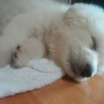 ♡대두,산만이,찌질이육아일기♡8탄!!!