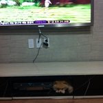 우리<b>구찌</b> 자랑해요 !ㅋㅋ