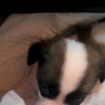 (사진 有) 71일된 남아를 키우는 21살 여대생