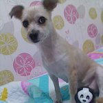 대구광역시 <b>서구</b> 평리동] 누리를 찾아주세요