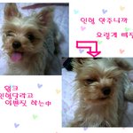 하늘의 별이된 우리가족 <b>윙크</b>