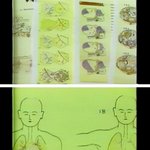 70-731부대의 진실