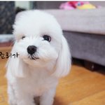 <포토툰> 이럴거면 날 왜 낳았어!" - <b>by</b>. 떽떽쥐베리