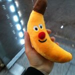 피아노 건반을 닮은 건반이예요 /프렌치<b>불독</b> 2탄