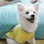 ★★★행복이의 행복한(?) 자취방 <4탄>★★★