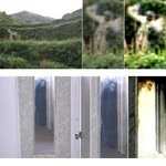 83-귀신이 출몰하는 텍사스 1960 고가도로