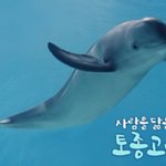 <b>멸종</b>위기종 토종고래 구해야겠음!!!!ㅜ_-