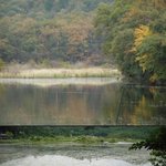 87-죽음의연못 '<b>미도</b>로'