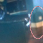 아이 <b>유령</b> 사진.. 고양이 이상행동에 촬영했더니`경악`