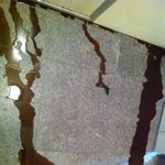 창고밖으로 빨간 <b>액체</b>가 엄청 흘렀습니다!!