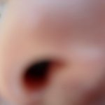 ●●●●2012년 6월 22일 코의 생일을 축하해주세요●●●●●