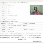 주세요★6월 11일 발견, 1살 코카스파니엘 <b>남아</b>의 가족을 찾습니다~!!