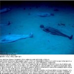 93-<b>물속</b> 시체