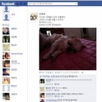 <b>sns</b>하는 우리집 할배개님을 소개합니다.