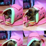 *<b>포</b><b>메</b>판* 오랜만에 똥꼬가 찾아왔습니다 ㅎ