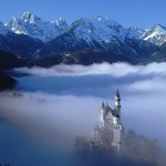 [유디치과]유디치과 꼼수작열!!. 유디치과 당장 사죄하라!!