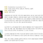 추억의 사벌고등학교 상징물