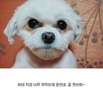<b>증명</b>사진찍을떄