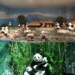 [<b>이색</b> 테마파크] 제주 테디 베어 뮤지엄 여행