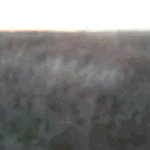☆저★희☆학★교☆커★플☆수★가☆..ㄷㄷ