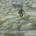 세계 4대 미스터리 생명체