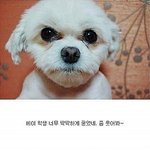<b>증명</b>사진 찍을떄