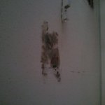 사진첨부) 2층의 개념상실 가족때문에 가정이 흔들립니다