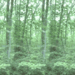 여러분 우리 눈<b>정화</b>해요~~~