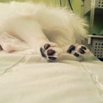 @ 한글  세종대왕 [13탄!!!]