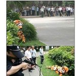 대륙의 호랑이 잡는 <b>실전</b>연습