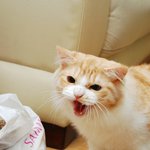 [유디치과]유디치과 공격하는 치협, 유디치과 아닌 치협이 <b>out</b>!!