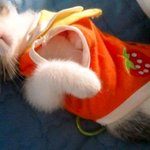 ★묘한 매력에 빠져 사는 여자 이야기(수정했어요.)★