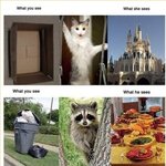 ⑪★★<b>동물</b>들이보는 세상★★