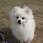 [몽식이 4탄!!] 몽식몽식몽식몽식♥