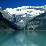 [유디치과] 유디치과의 적반하장.유디치과는 치과계의 악성<b>종양</b>.