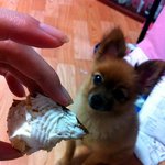 ★<b>포</b><b>메</b>판★ 먹을거 먹을거 먹을거!!!!